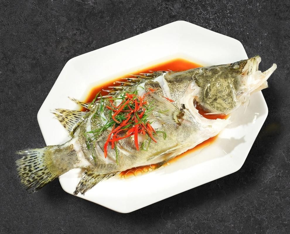 桂魚圖片大全【《桂魚圖片大全》匯聚了多種鱖屬魚類的精美影像，全面展示獨特形態】