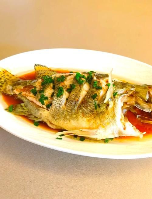 桂魚圖片大全【《桂魚圖片大全》匯聚了多種鱖屬魚類的精美影像，全面展示獨特形態】