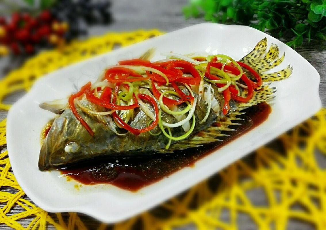 桂魚圖片大全【《桂魚圖片大全》匯聚了多種鱖屬魚類的精美影像，全面展示獨特形態】