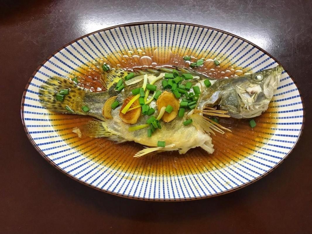 桂魚圖片大全【《桂魚圖片大全》匯聚了多種鱖屬魚類的精美影像，全面展示獨特形態】