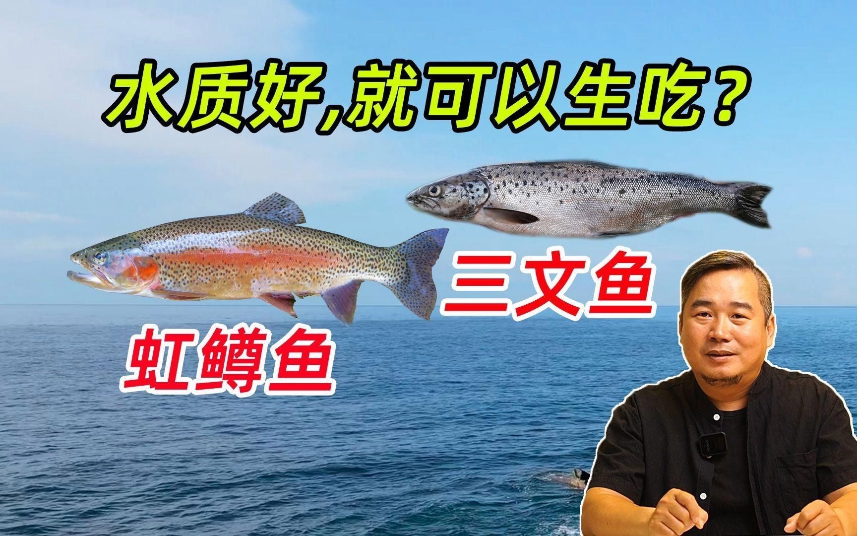 如何區分海魚和淡水魚？【]海魚和淡水魚哪個營養價值更高原來一直吃錯了大娛車】 如何區分海魚和淡水魚？【]海魚和淡水魚哪個營養價值更高原來一直吃錯了大娛車】 龍魚百科 第7張