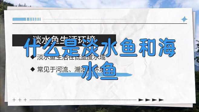如何區(qū)分海魚和淡水魚？【]海魚和淡水魚哪個營養(yǎng)價值更高原來一直吃錯了大娛車】