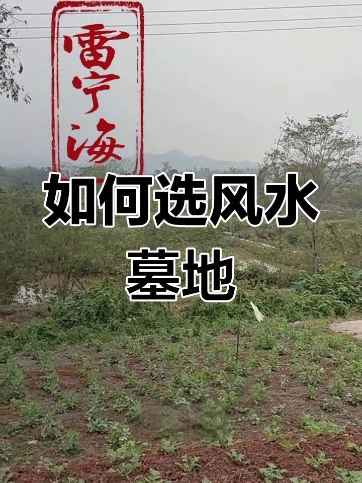 騎龍穴的理氣要訣如何應用？【風水穴位選擇技巧】