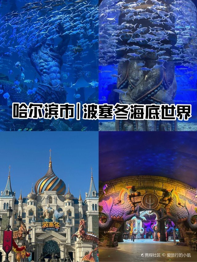 松北水族店【哈爾濱市松北區水族店怎么樣】