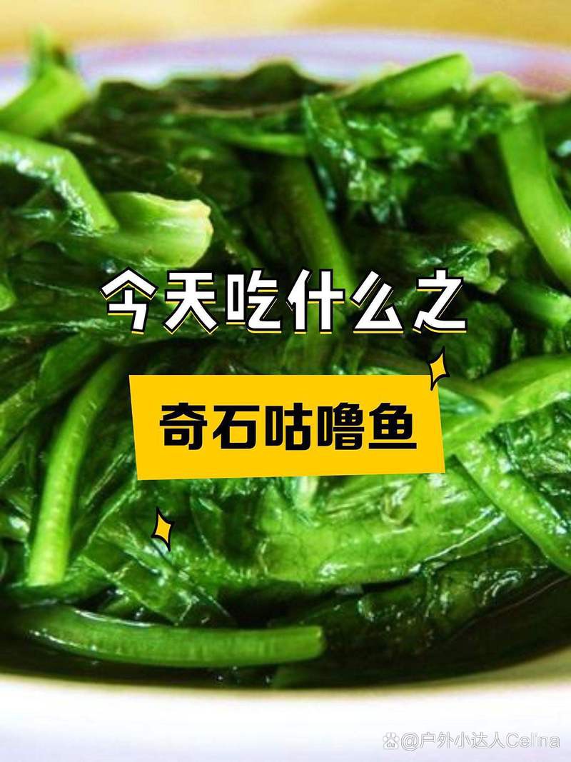 楊陵龍魚(yú)店【廣州楊陵龍魚(yú)店怎么樣？】