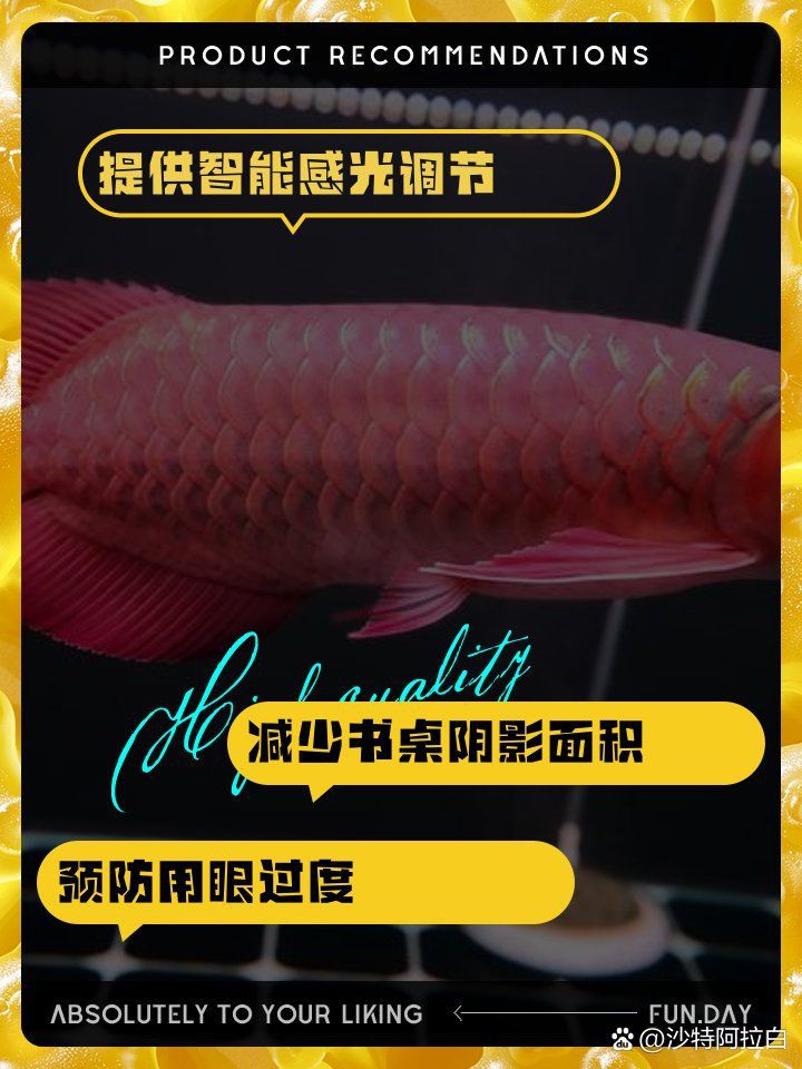 馬印燈官網鑒別【馬印燈正品鑒別】