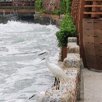 海洋館100種動物名字【《海洋館100種動物名字》】