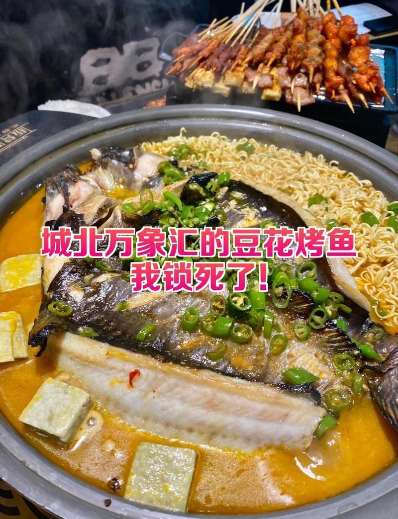 城北龍魚店【城北還有哪些龍魚店】