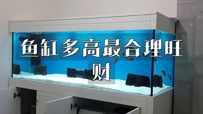 有哪些魚缸尺寸被認(rèn)為是最吉利的？【魚缸尺寸最吉利且適合不同場景】 有哪些魚缸尺寸被認(rèn)為是最吉利的？【魚缸尺寸最吉利且適合不同場景】 龍魚百科 第2張