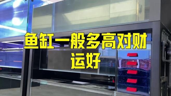 有哪些魚缸尺寸被認(rèn)為是最吉利的？【魚缸尺寸最吉利且適合不同場景】 有哪些魚缸尺寸被認(rèn)為是最吉利的？【魚缸尺寸最吉利且適合不同場景】 龍魚百科 第4張