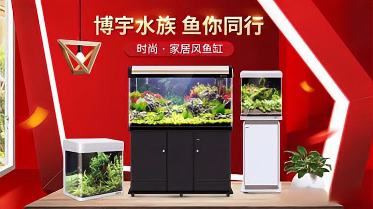 水族品牌十大名牌排行榜【2025年水族十大名牌排行榜】