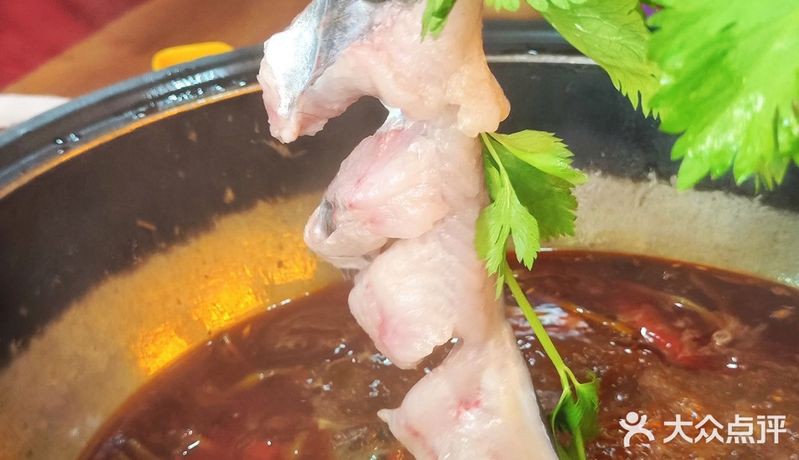 旺蒼龍魚店【廣州旺蒼縣民樂巷一帶備受歡迎的美食打卡地龍魚店】 旺蒼龍魚店【廣州旺蒼縣民樂巷一帶備受歡迎的美食打卡地龍魚店】 全國水族館企業(yè)名錄 第4張