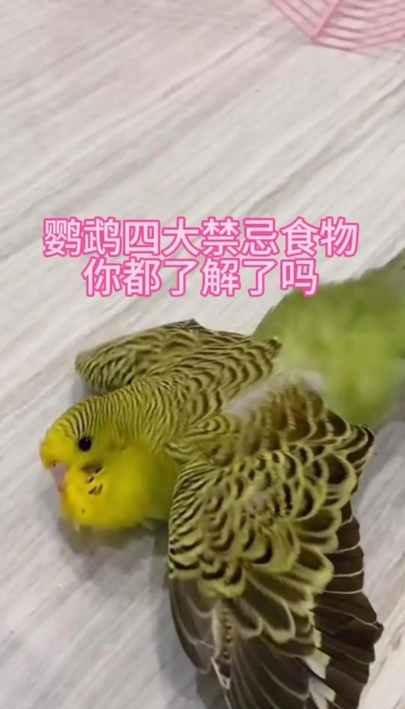 三紋印尼虎最忌三種水果【“三紋印尼虎”通常指特別注意避免三種水果的協同毒性】