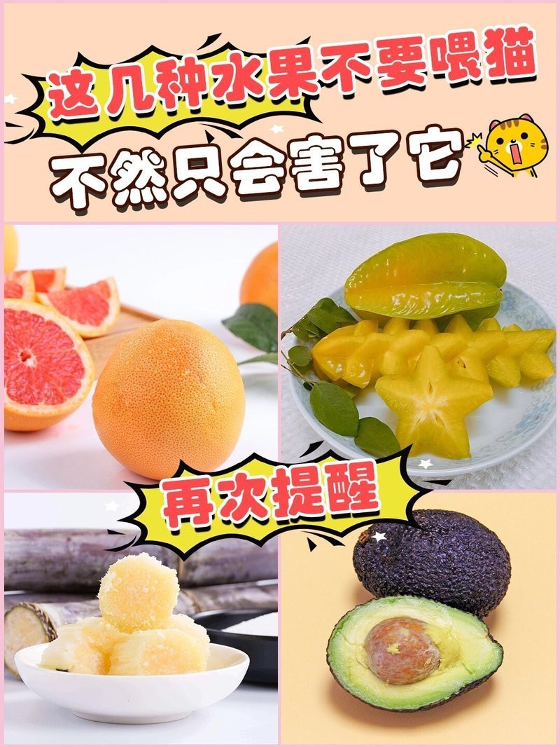 三紋印尼虎最忌三種水果【“三紋印尼虎”通常指特別注意避免三種水果的協同毒性】