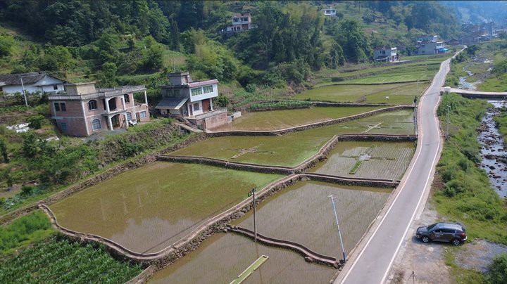 習水龍魚店【習水縣森森水族昆侖北路店有哪些龍魚品種習水龍魚店】