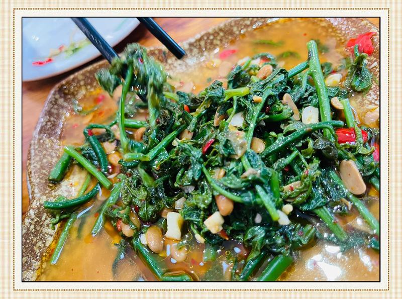 元陽龍魚店【元陽地區有龍魚養殖場嗎】