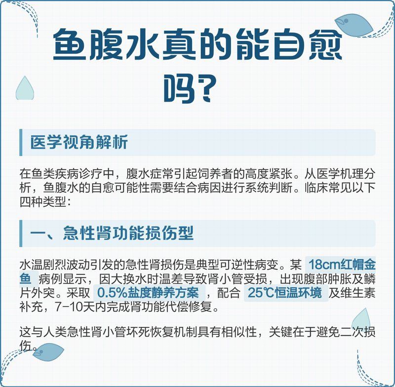 魚腹水能自愈嗎【哪些藥物可以有效治療魚腹水】