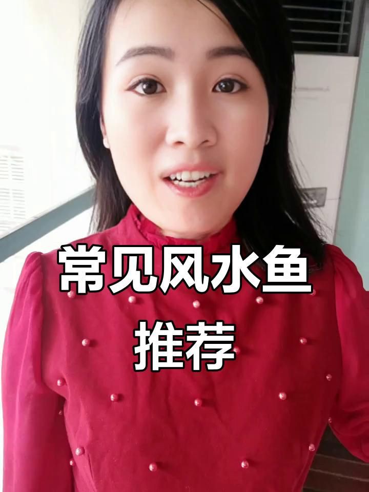 風水魚都有哪些品種【客廳養什么魚風水好】