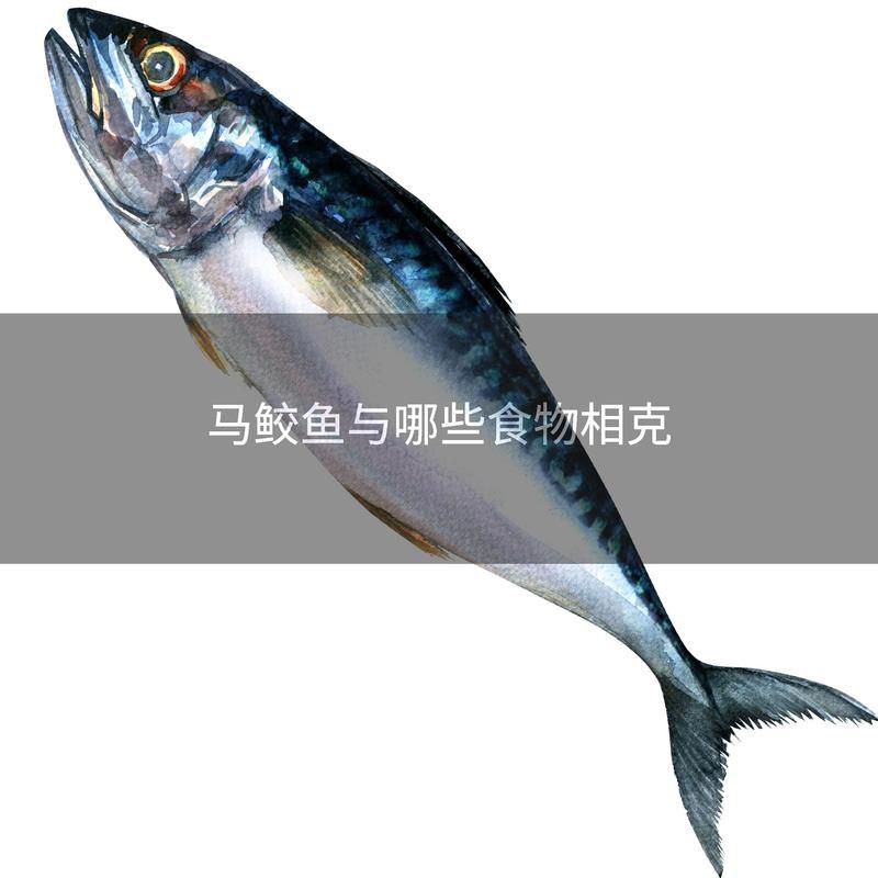 馬來(lái)魟魚(yú)最忌三種東西【馬來(lái)魟魚(yú)與哪些食物相克大眾養(yǎng)生網(wǎng)怎么飼養(yǎng)虹魚(yú)“魔鬼魚(yú)”】