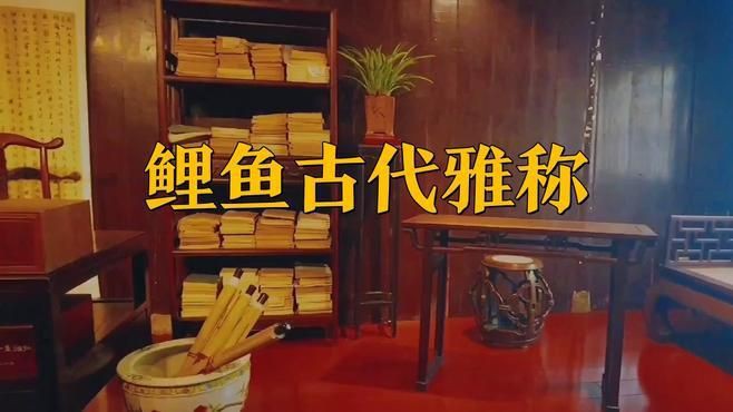 鯉魚的名字叫什么【“鯉魚的名字叫什么”】