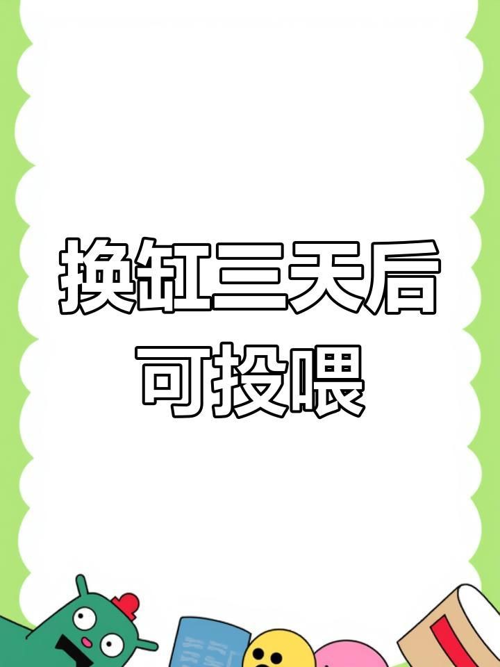 換缸后多久喂食合適？【觀賞魚換缸后多久能喂食】