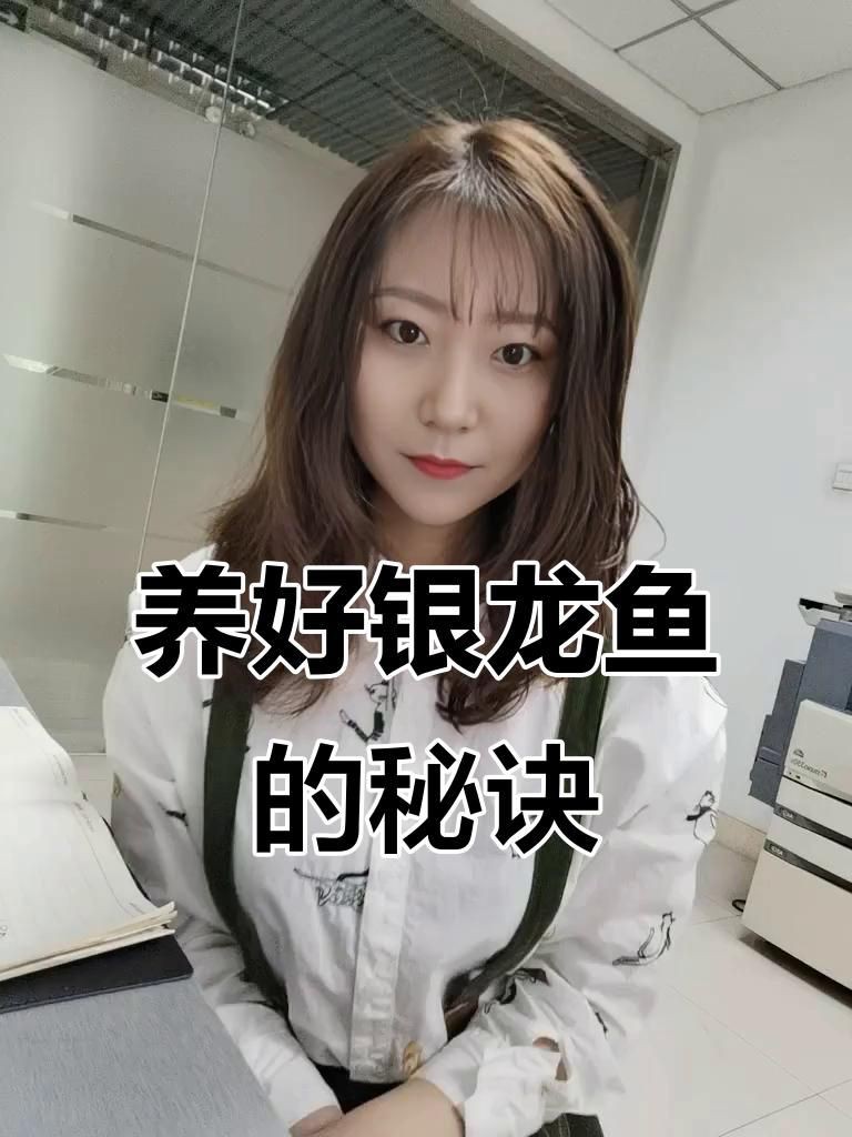如何挑選健康的60公分銀龍魚？【如何挑選健康的60公分銀龍魚】