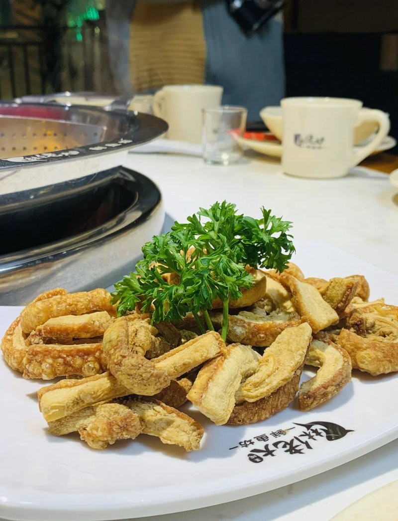 嘉陵龍魚店【南充嘉陵龍魚店】