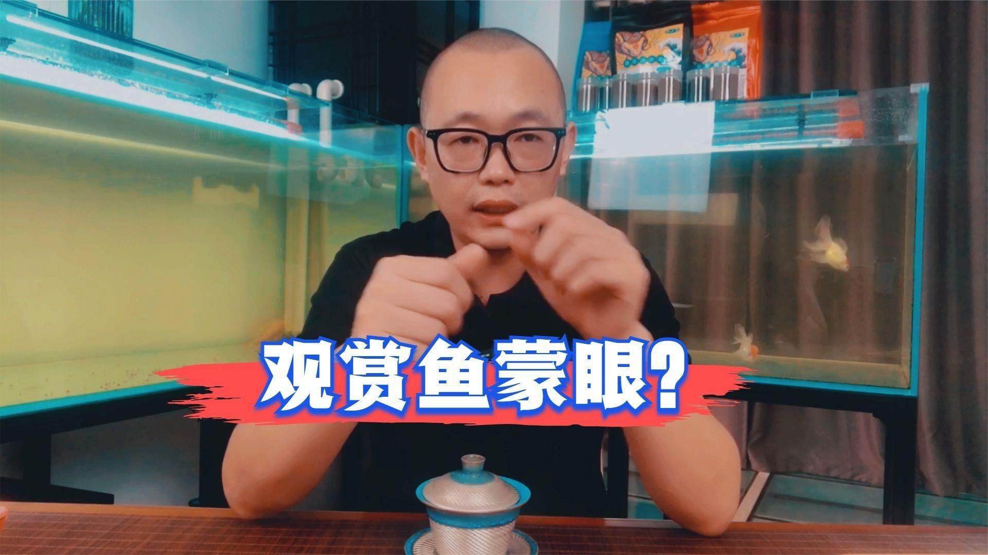 魚蒙眼是什么原因?qū)е碌摹攫B(yǎng)魚筆記第3季104集觀賞魚蒙眼到底是不是病】
