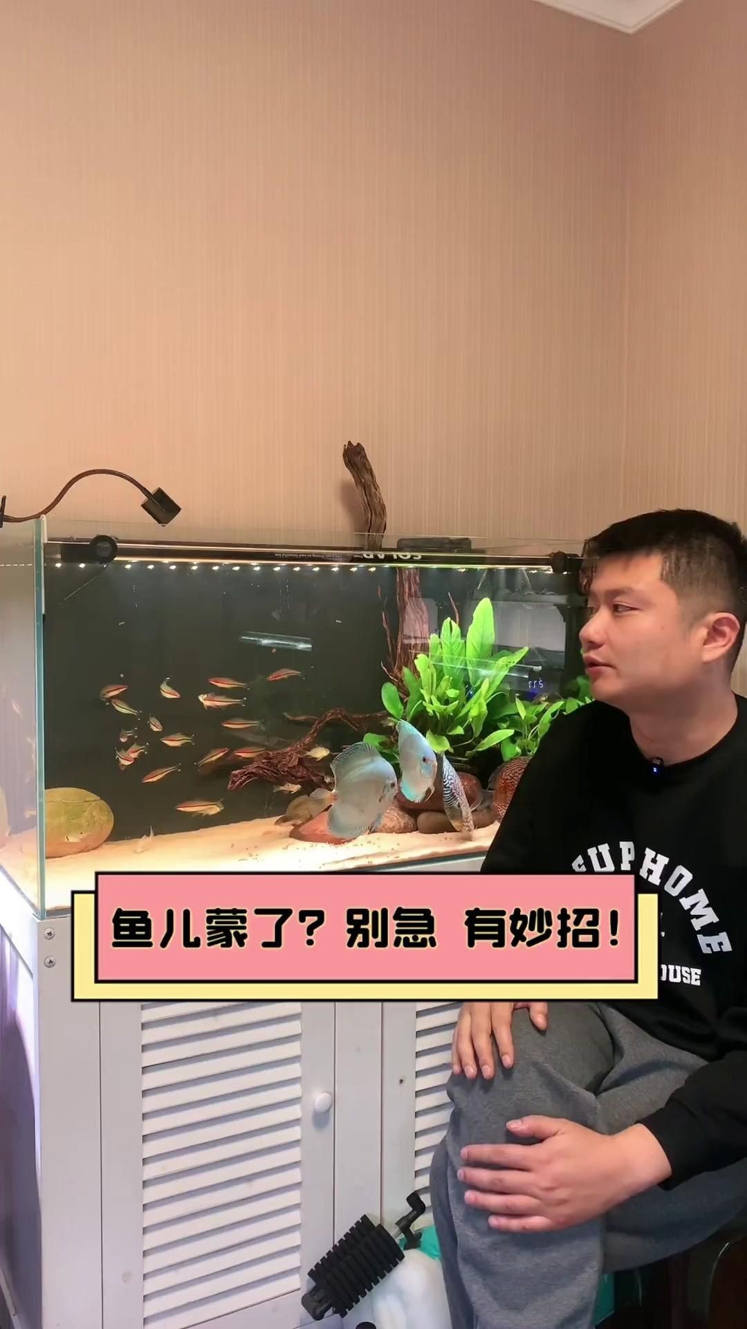 魚蒙眼是什么原因?qū)е碌摹攫B(yǎng)魚筆記第3季104集觀賞魚蒙眼到底是不是病】