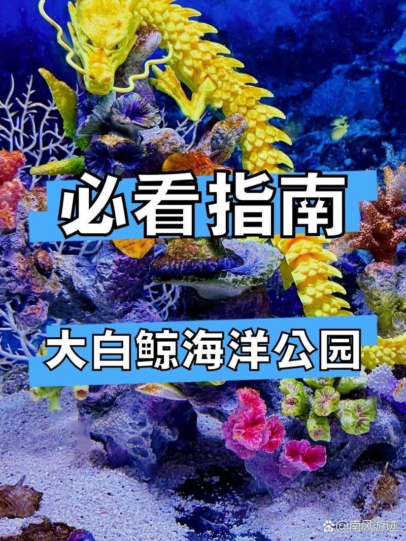 蕪湖水族店【關于“蕪湖水族店”的300-400字】