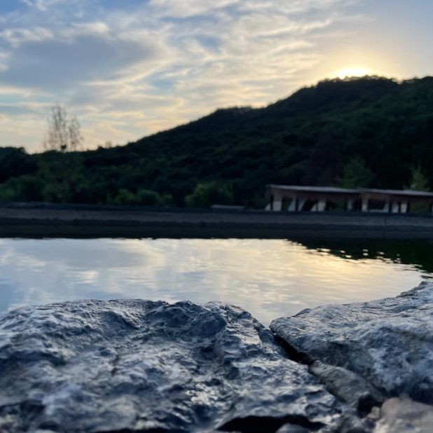 蕪湖水族店【關于“蕪湖水族店”的300-400字】