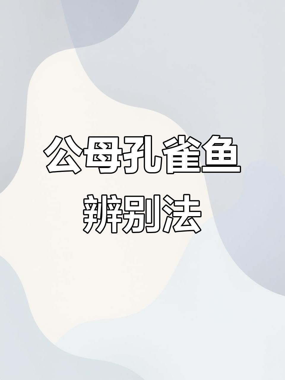 孔雀魚幼崽怎么看公母【一個月孔雀魚公母分辨技巧,顏色和胎斑一學就會】 孔雀魚幼崽怎么看公母【一個月孔雀魚公母分辨技巧,顏色和胎斑一學就會】 龍魚百科 第2張