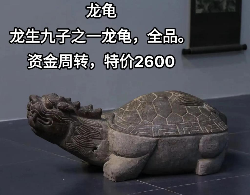 10萬以上龍龜圖片【圖行天下龍龜圖片鑒定】