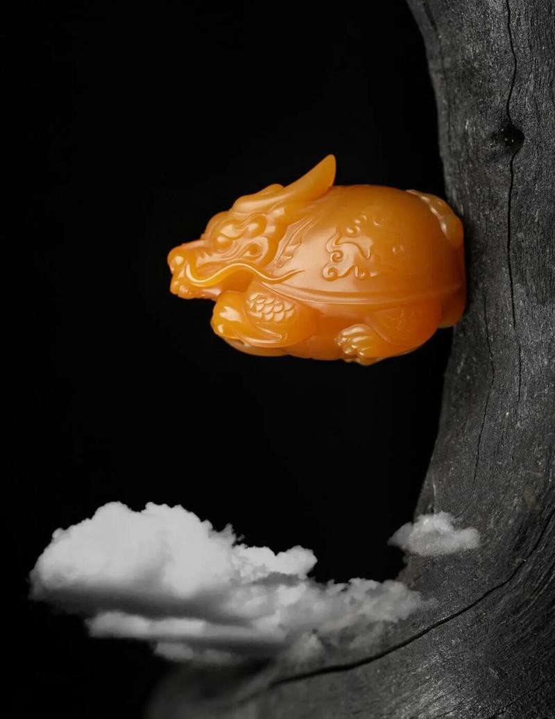 10萬以上龍龜圖片【圖行天下龍龜圖片鑒定】