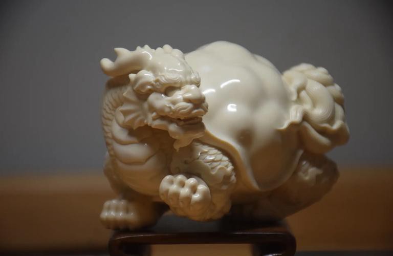 10萬以上龍龜圖片【圖行天下龍龜圖片鑒定】