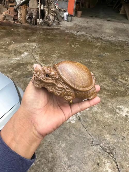 10萬以上龍龜圖片【圖行天下龍龜圖片鑒定】