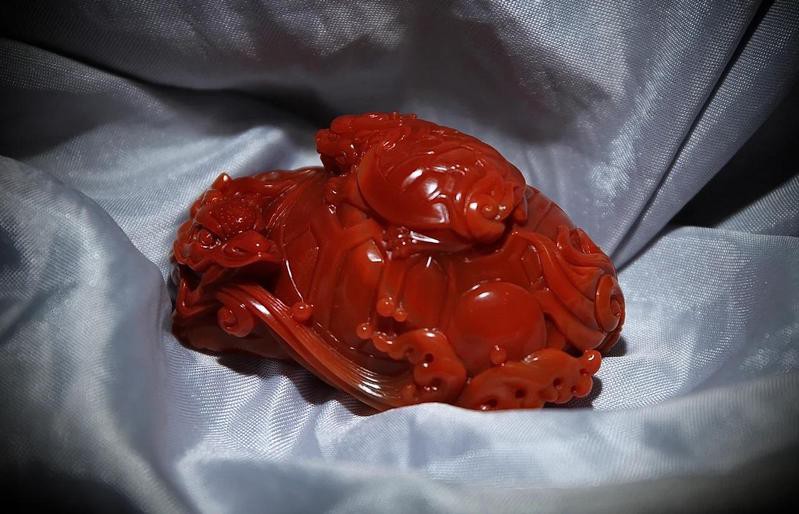 10萬以上龍龜圖片【圖行天下龍龜圖片鑒定】