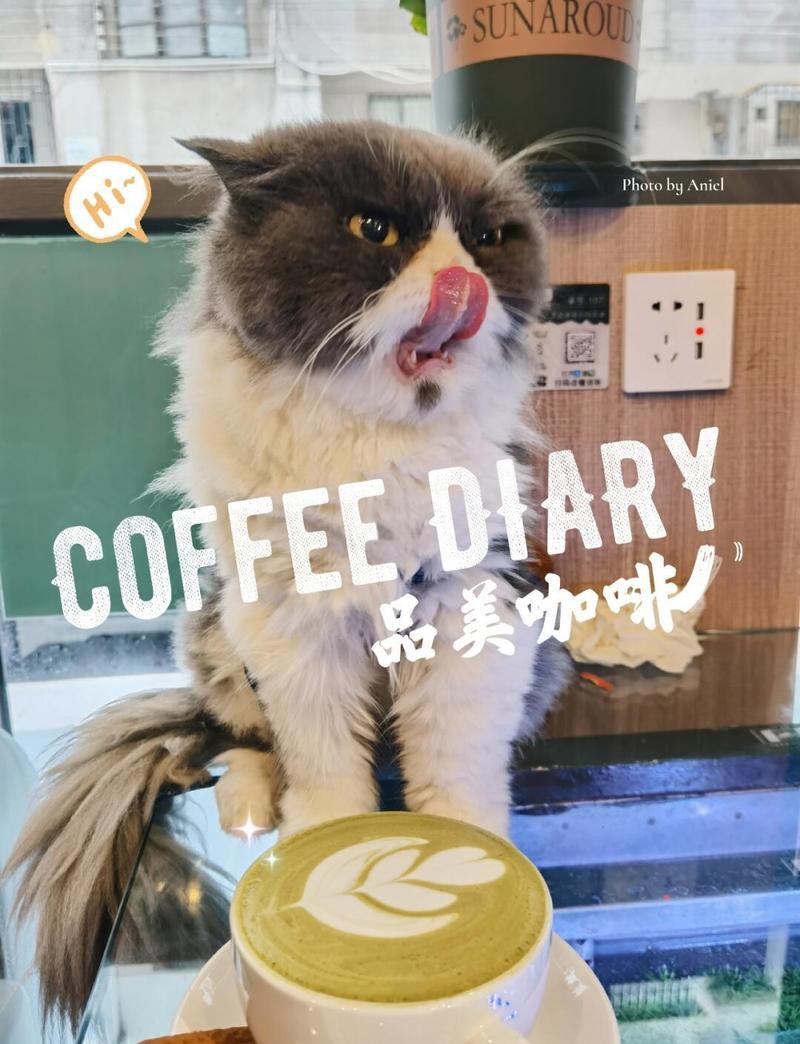 開平水族店【唐山市開平區哪家水族店口碑最好】