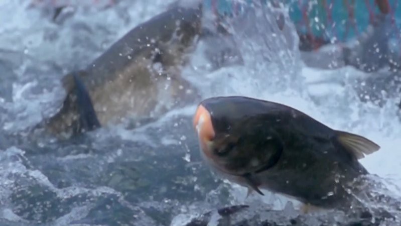 萬安水族店【萬安縣潞田鎮開家水族店投資多少錢】