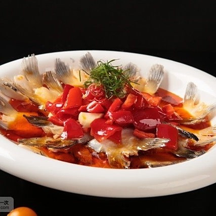 徐匯龍魚店【徐匯區有哪些龍魚店】