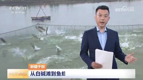 于田龍魚店【于田從白堿灘到魚蝦塘沙漠水產走向市場】