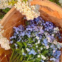 家里有必要買魚缸嗎【家里放魚缸有什么好處？】