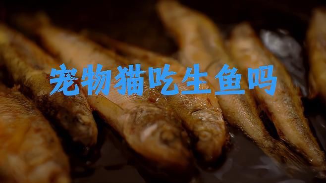 貓吃生魚的好處和壞處【貓吃生魚好嗎】