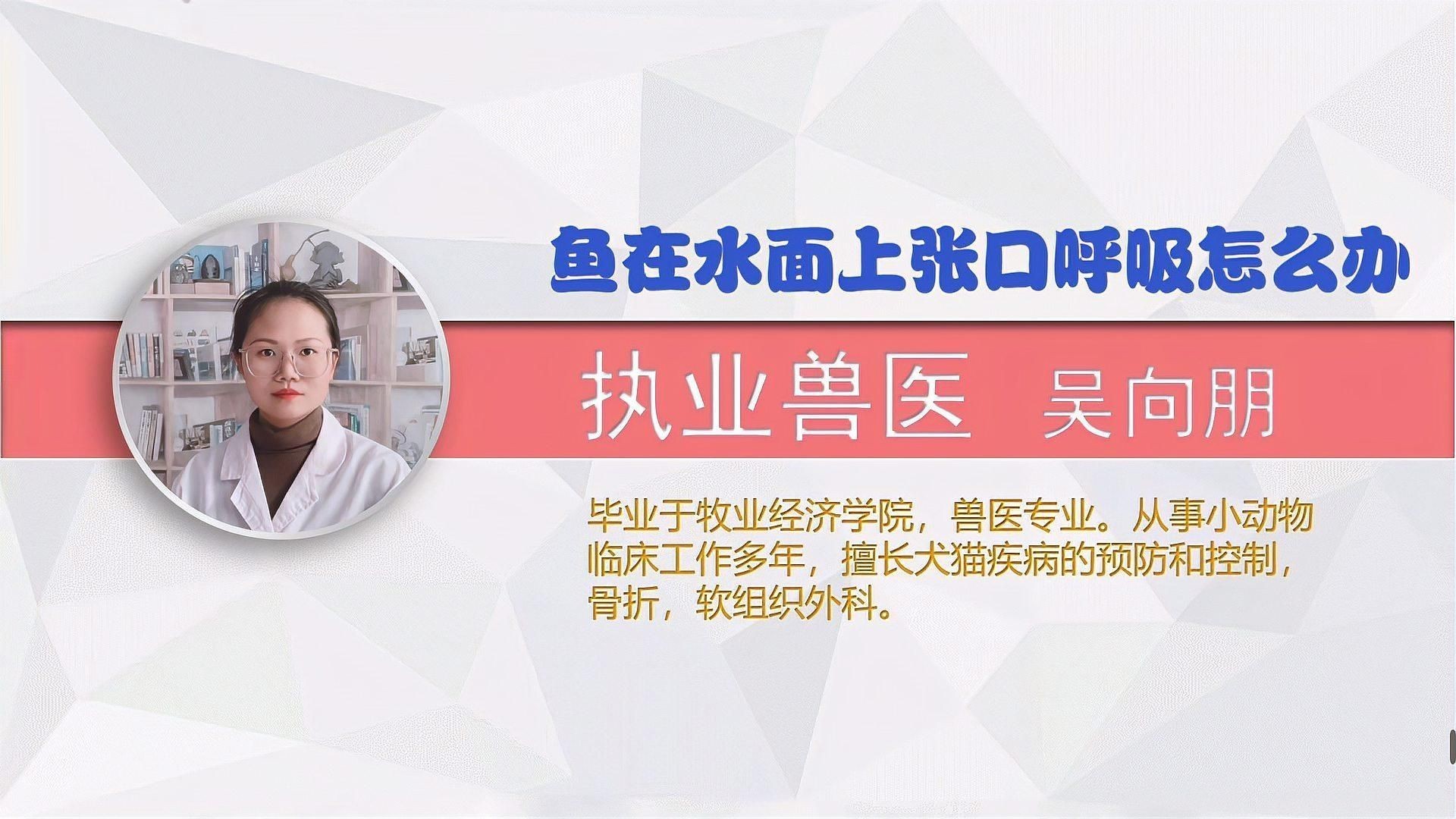 如何預(yù)防魚浮在水面上張嘴？【魚浮出水面不停的張嘴怎么辦】