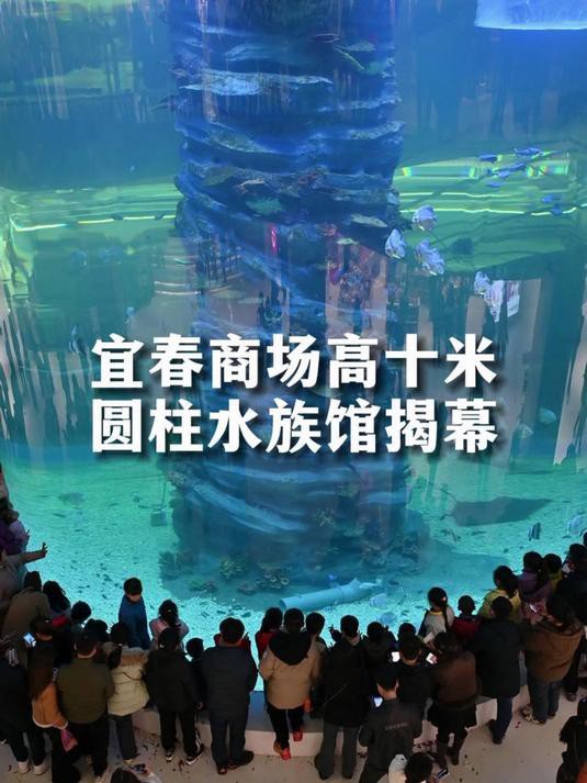 宜春水族店【宜春有哪些水族店？】