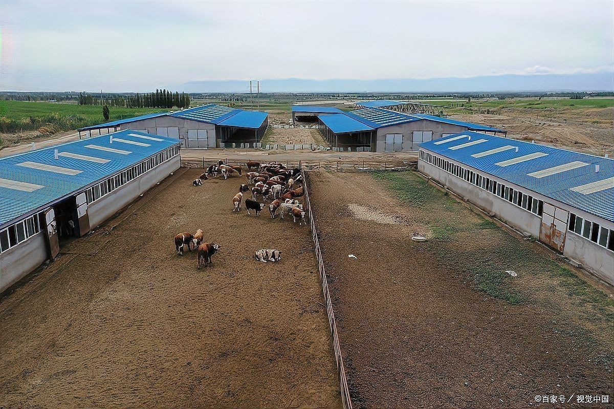 基本農田建養殖場算違建嗎【在基本農田上建設養殖場屬于違建嗎】