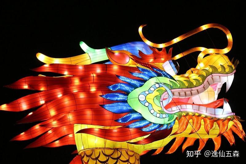 白子招財龍最忌三種魚【《白子招財龍最忌三種魚》】