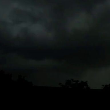 金龍魚是淡水魚嗎還是海魚【金龍魚的典型的淡水魚類特征和行為特征，金龍魚的特征】