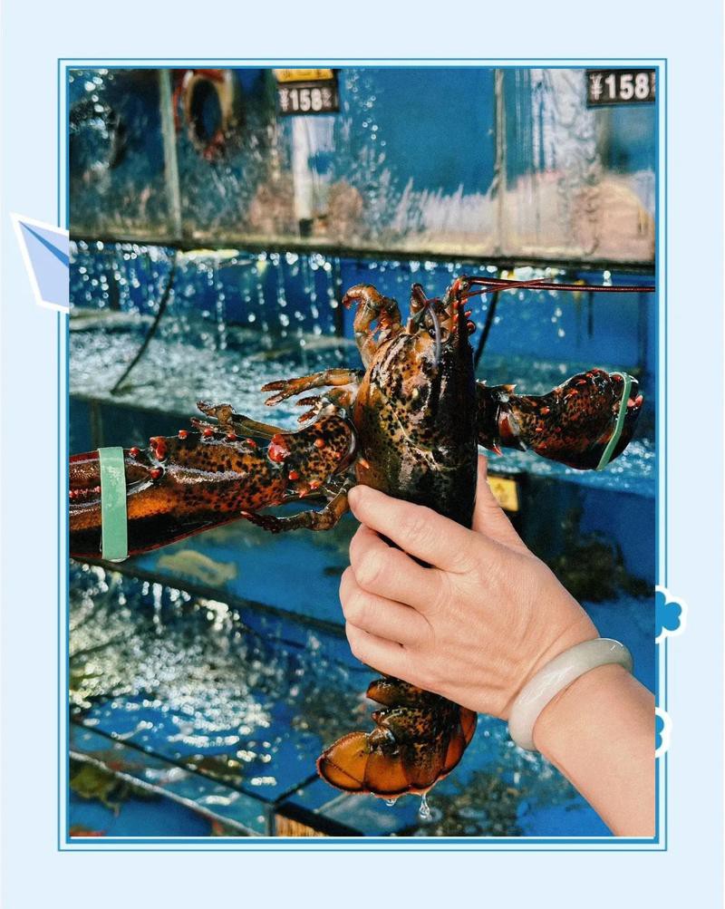 北海龍魚店【北海哪家龍魚店最受歡迎】