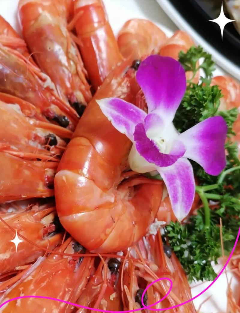 北海龍魚店【北海哪家龍魚店最受歡迎】